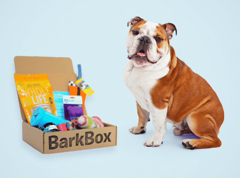 barkbox box